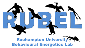 RUBEL + web address - for email sig